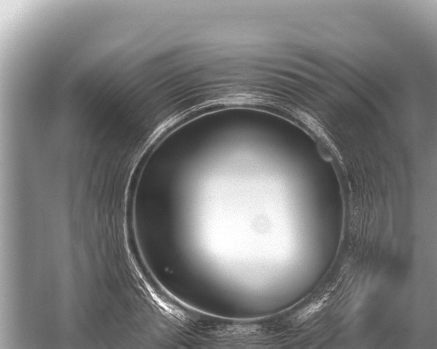 X0000060230845200510311545