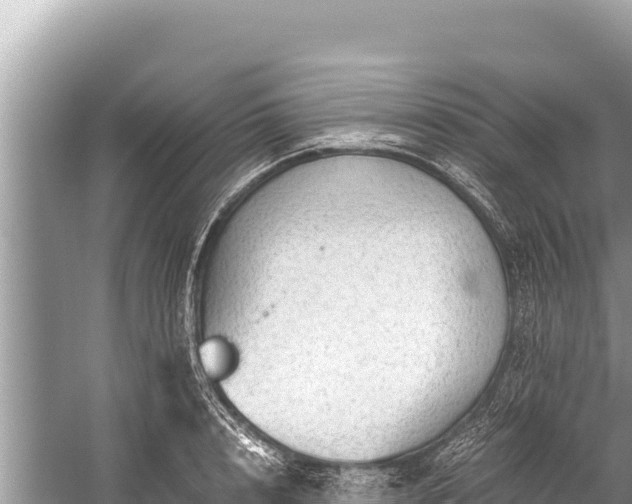 X0000060230848200510311545