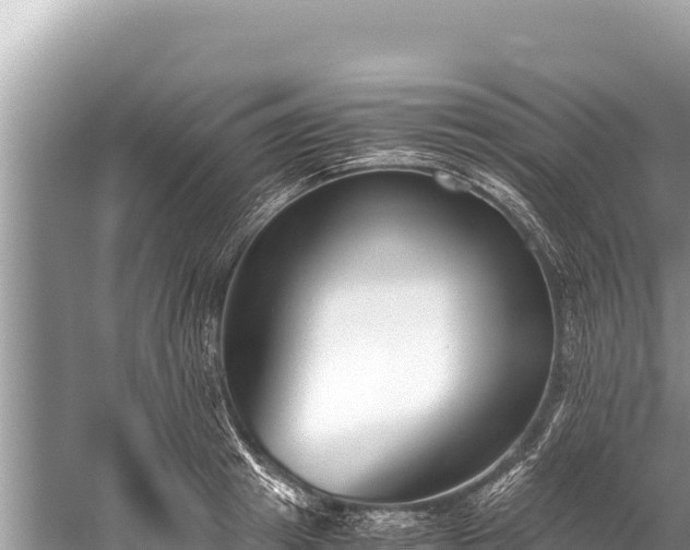 X0000060230849200510311545