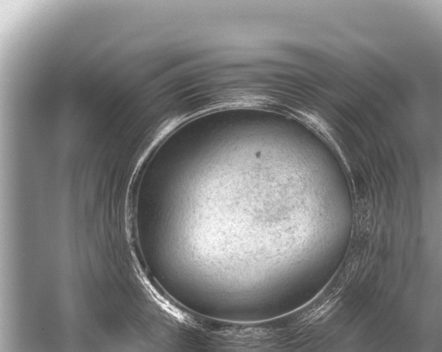 X0000060230851200510311545