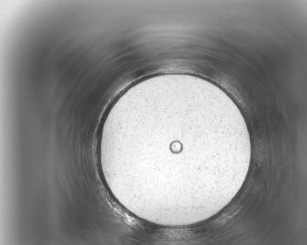 X0000060230856200510311545