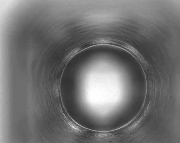 X0000060230857200510311546