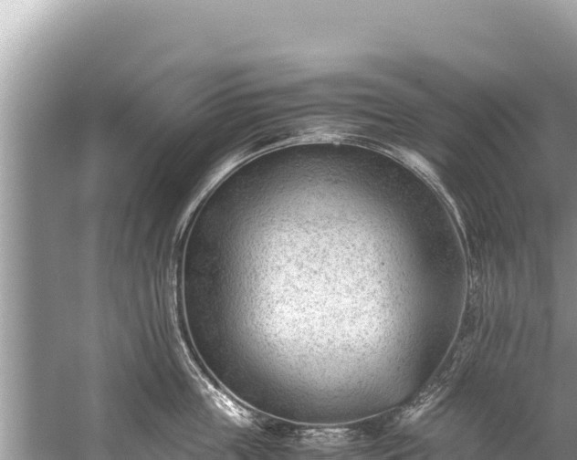 X0000060230859200510311546