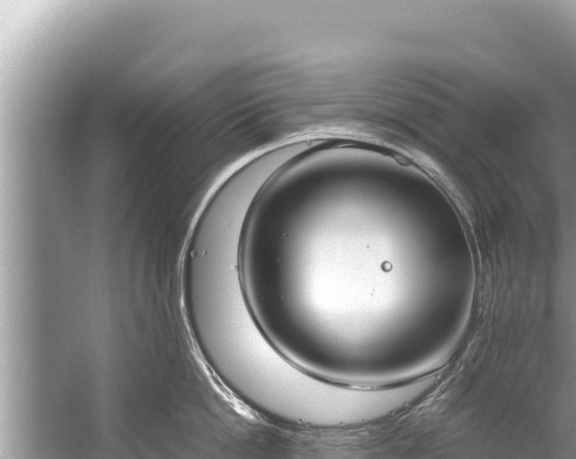 X0000060230862200510311546