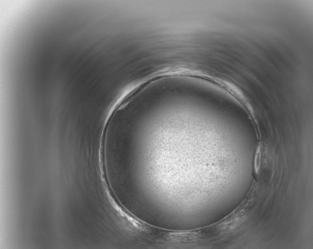 X0000060230863200510311546