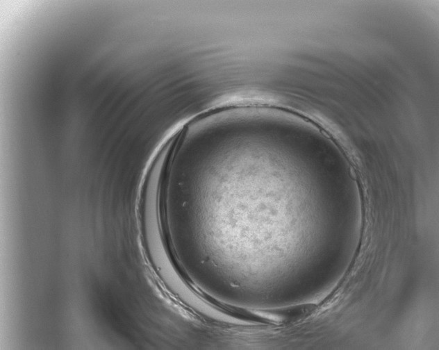 X0000060230864200510311546