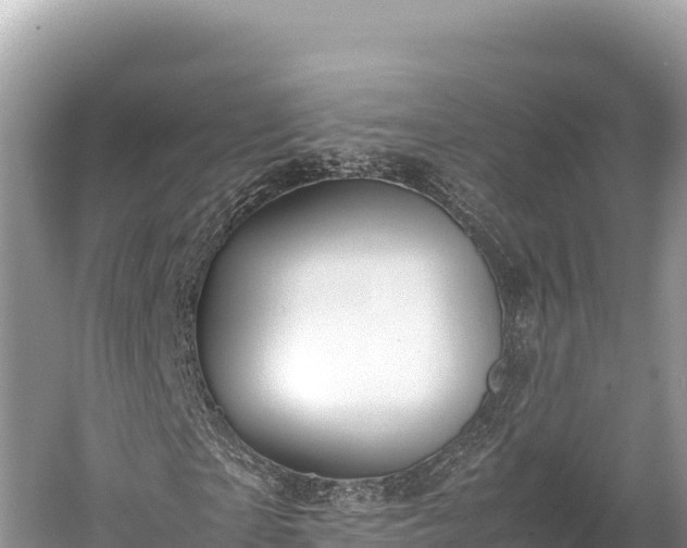 X0000060230865200510311545