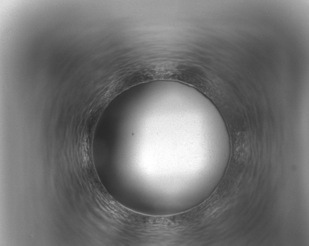 X0000060230866200510311545