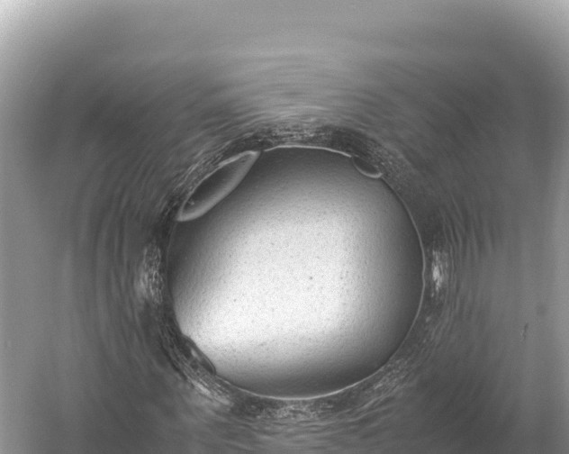 X0000060230867200510311545