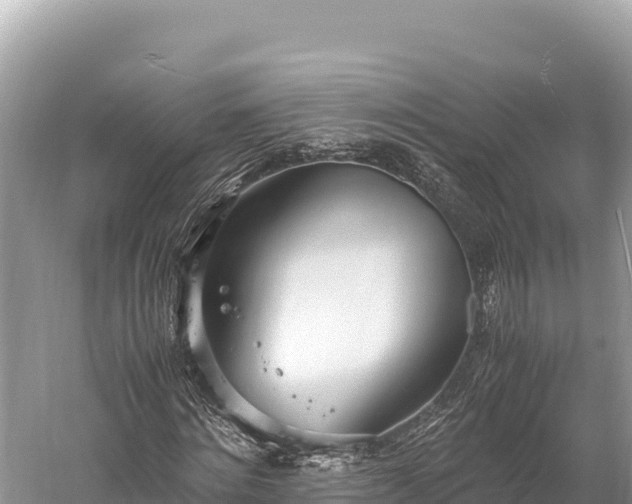 X0000060230868200510311545