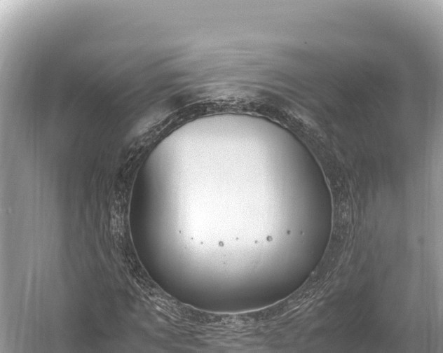 X0000060230869200510311545