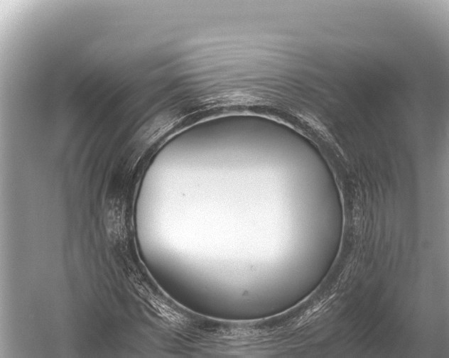 X0000060230873200510311545