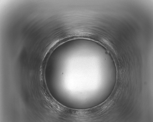 X0000060230875200510311545