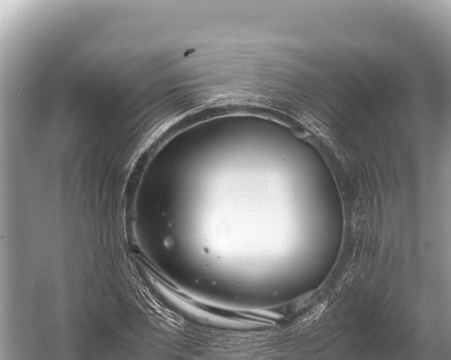 X0000060230877200510311545