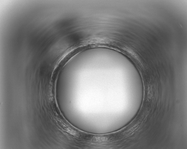 X0000060230878200510311545