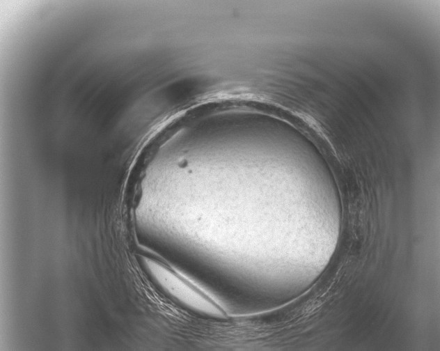 X0000060230879200510311545