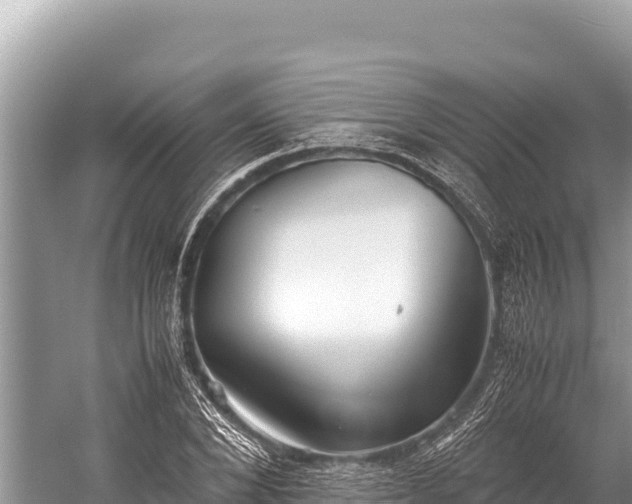 X0000060230880200510311545