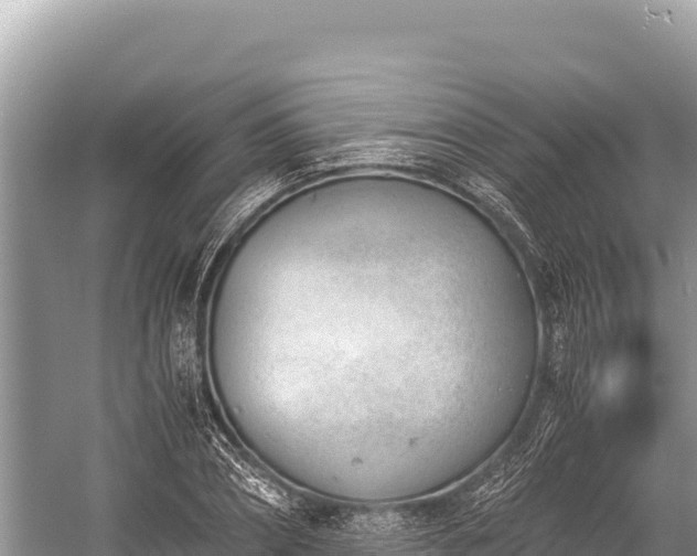 X0000060230882200510311545