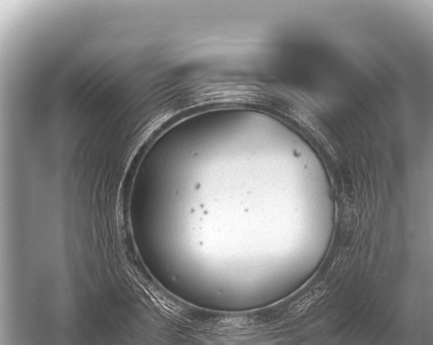 X0000060230883200510311544