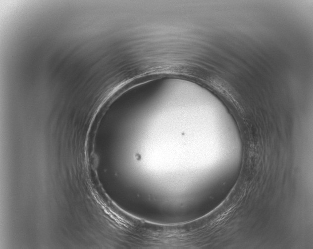 X0000060230884200510311544