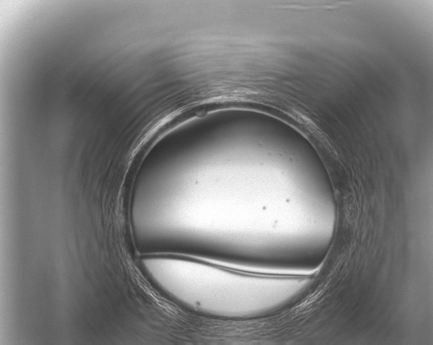 X0000060230885200510311544