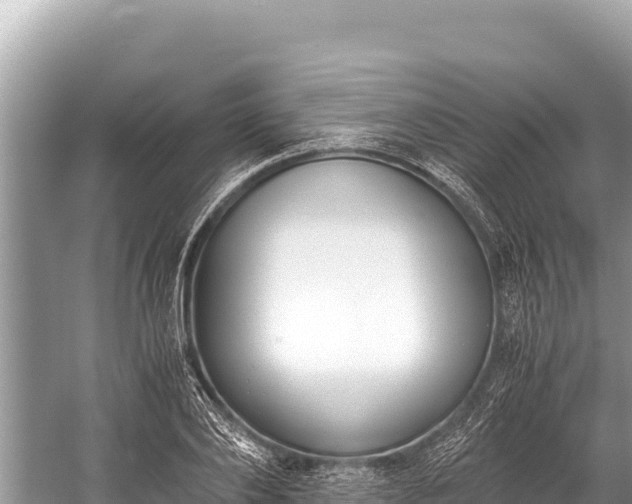 X0000060230886200510311544