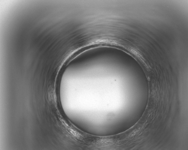 X0000060230888200510311544