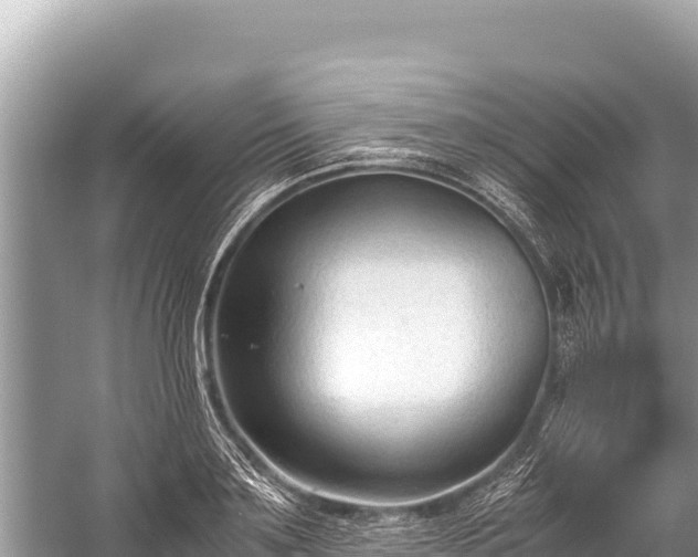 X0000060230891200510311544