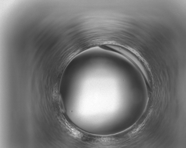 X0000060230897200510311544