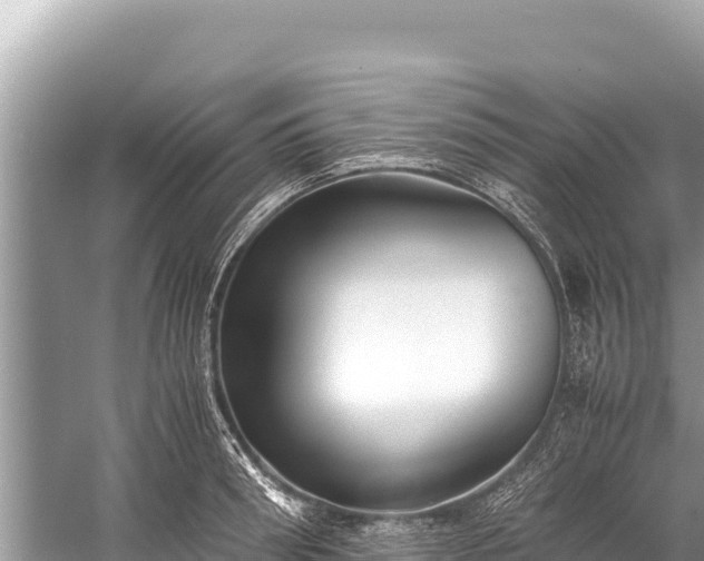 X0000060230898200510311544