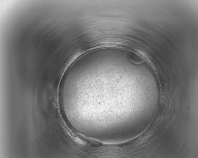 X0000060230899200510311544