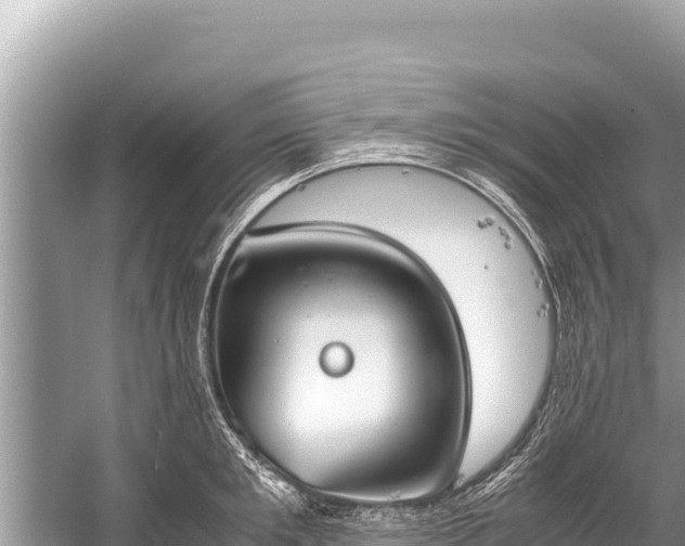 X0000060230901200510311544