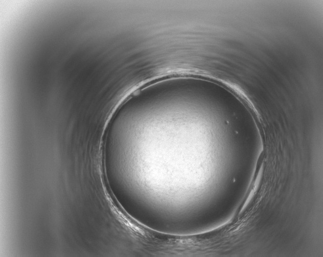 X0000060230903200510311544