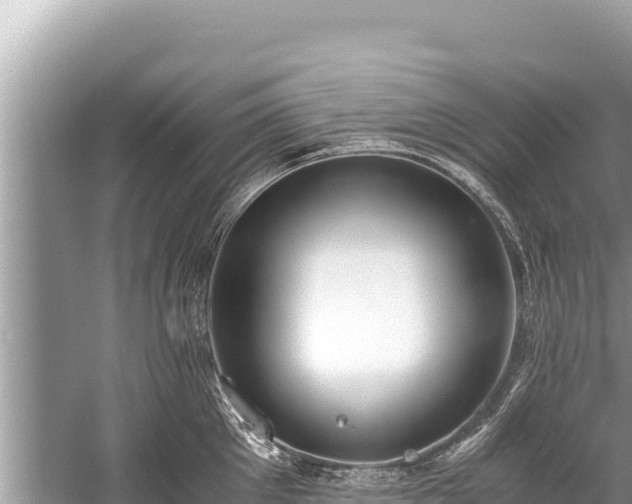 X0000060230905200510311544