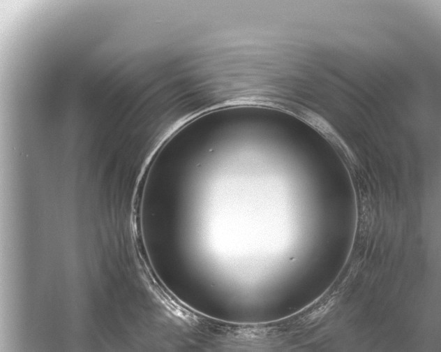 X0000060230908200510311544