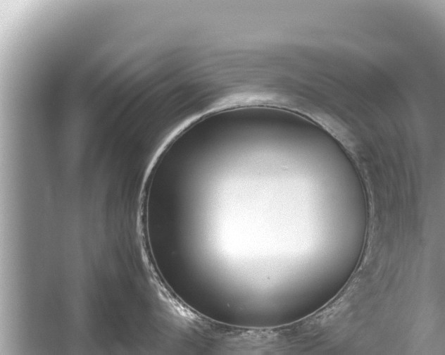 X0000060230912200510311544