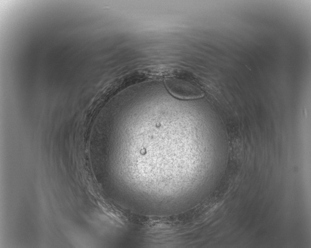 X0000060230913200510311543