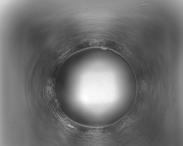 X0000060230914200510311543