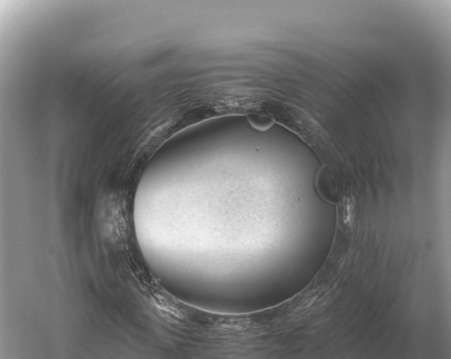 X0000060230915200510311543