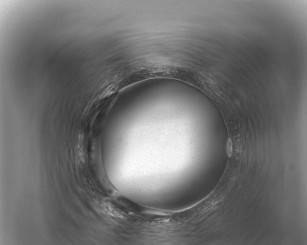 X0000060230916200510311543