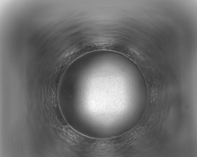 X0000060230917200510311543