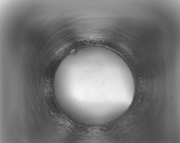 X0000060230918200510311543