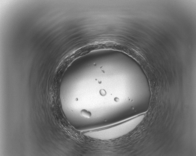 X0000060230920200510311543