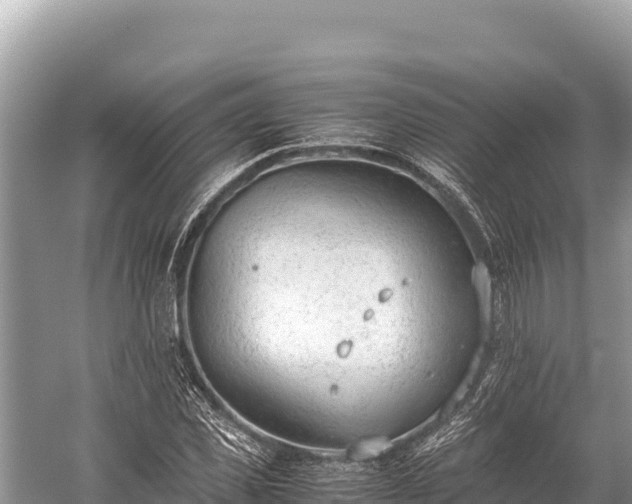 X0000060230925200510311543