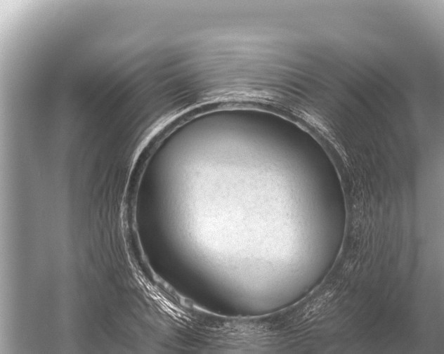 X0000060230928200510311543