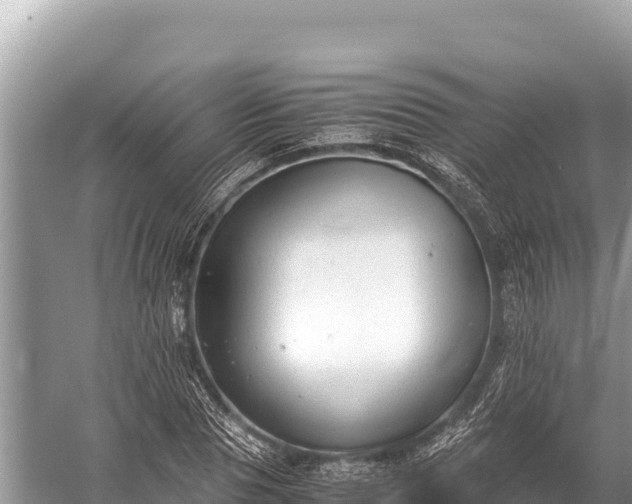 X0000060230929200510311543