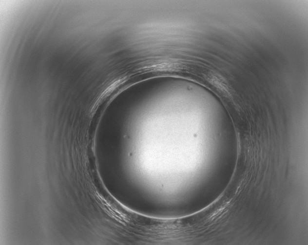 X0000060230930200510311543