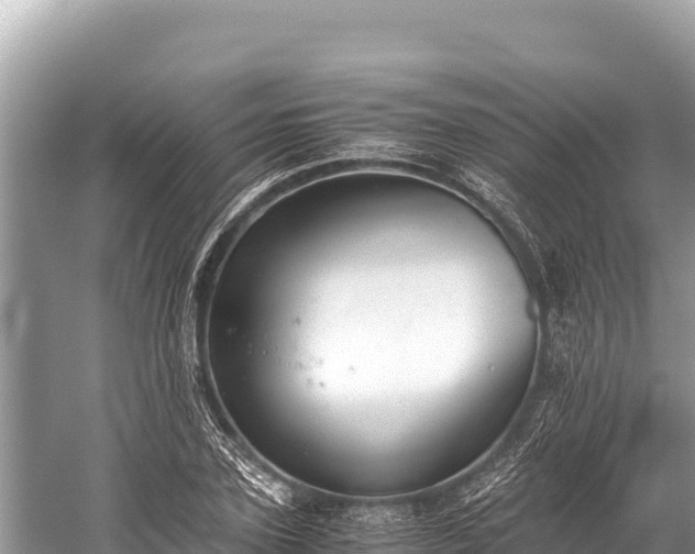 X0000060230931200510311543