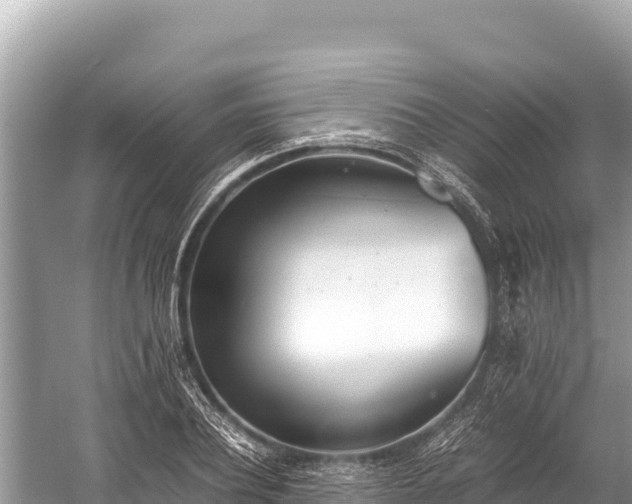 X0000060230932200510311544