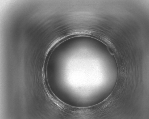 X0000060230936200510311544